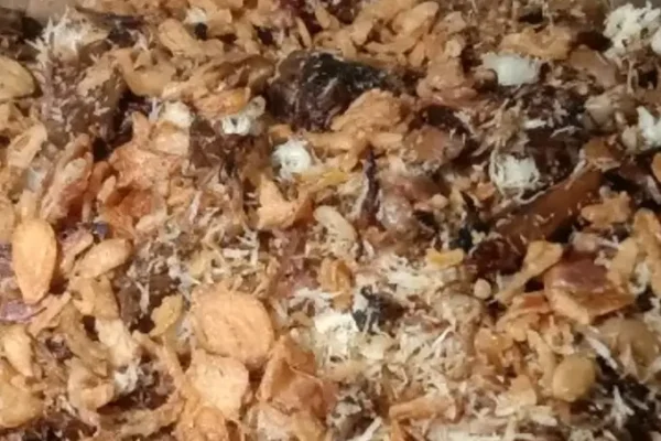 Resep Sate Klopo Rumahan Istimewa: Daging Burung Kowak dengan Aroma Kelapa Sangrai Khas Surabaya Resep Sate Klopo Rumahan Istimewa: Daging Burung Kowak dengan Aroma Kelapa Sangrai Khas Surabaya